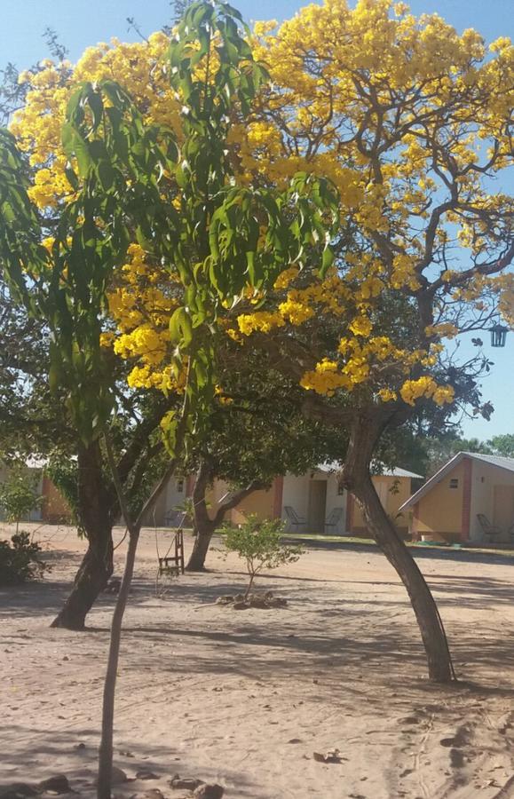 Encanto Do Jalapao * Sao Felix do Tocantins